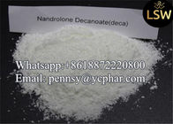 99% High Purity Raw Pharmaceutical Steroids Powder Nandrolone decanoate for  Bodybuilding CAS:360-70-3