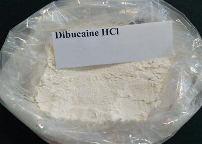 No Side Effect Local Anaesthesia Drugs Dibucaine Hydrochloride CAS 61-12-1 For Pian Relieve