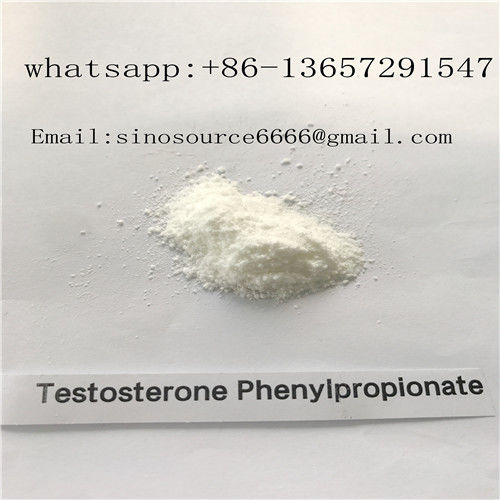Healthy Trenbolone Powder Testosterone Phenylpropionate Testosterone Steroid CAS 1255-49-8